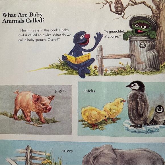 A Golden Book Sesame Street Question and Answer Book About Animals 1983 Book - Picture 5 of 5